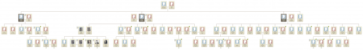 Israel Loew Sturmwald's Family Tree [Ancestry.com]