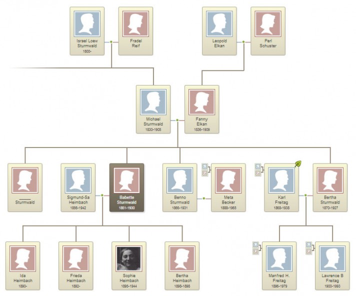 Babette Sturmwald Family Tree