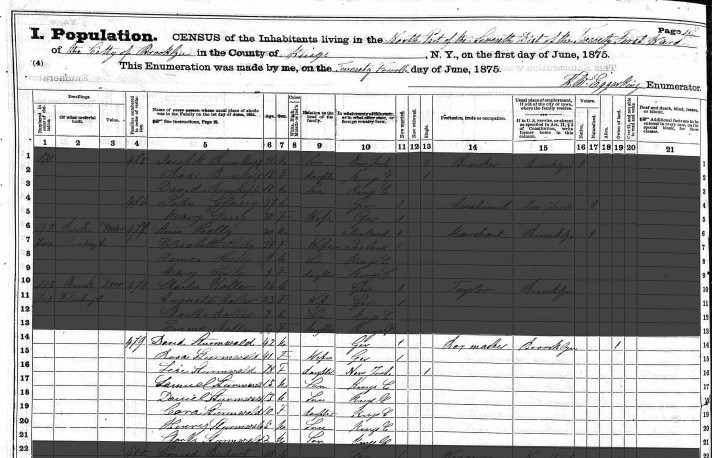 David Sturmwald and family in the 1875 New York Census