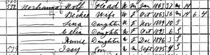 Nachamin family, 1900 U.S. Federal Census